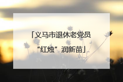 义马市退休老党员“红烛”润新苗