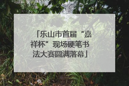 乐山市首届“嘉祥杯”现场硬笔书法大赛圆满落幕