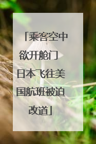 乘客空中欲开舱门 日本飞往美国航班被迫改道