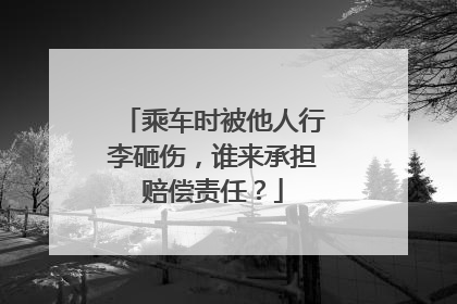 乘车时被他人行李砸伤，谁来承担赔偿责任？