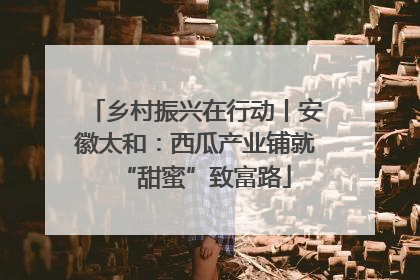 乡村振兴在行动丨安徽太和：西瓜产业铺就“甜蜜”致富路