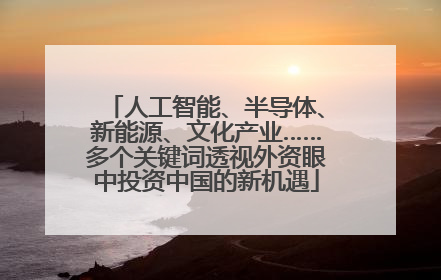 人工智能、半导体、新能源、文化产业……多个关键词透视外资眼中投资中国的新机遇