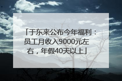于东来公布今年福利：员工月收入9000元左右，年假40天以上