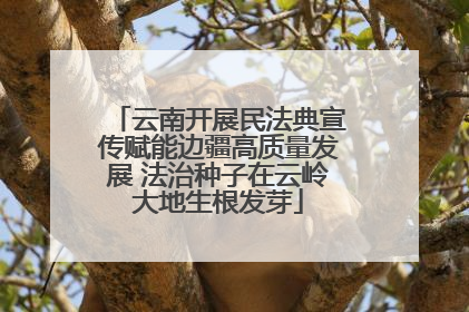 云南开展民法典宣传赋能边疆高质量发展 法治种子在云岭大地生根发芽