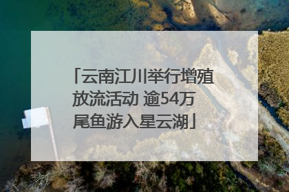 云南江川举行增殖放流活动 逾54万尾鱼游入星云湖