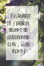 云新闻关注｜国家首批39个重点培育对象公布，云南有3个