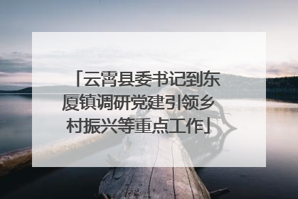 云霄县委书记到东厦镇调研党建引领乡村振兴等重点工作
