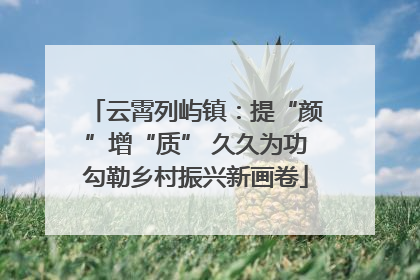 云霄列屿镇：提“颜”增“质” 久久为功勾勒乡村振兴新画卷