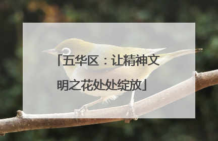 五华区：让精神文明之花处处绽放