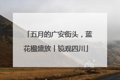五月的广安街头，蓝花楹盛放丨镜观四川