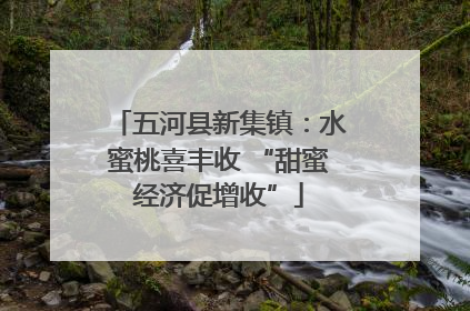 五河县新集镇：水蜜桃喜丰收 “甜蜜经济促增收”