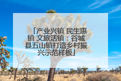 产业兴镇 民生惠镇 文旅活镇：谷城县五山镇打造乡村振兴示范样板