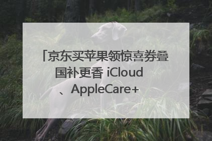 京东买苹果领惊喜券叠国补更香 iCloud、AppleCare+服务限时低至85折