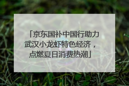 京东国补中国行助力武汉小龙虾特色经济，点燃夏日消费热潮
