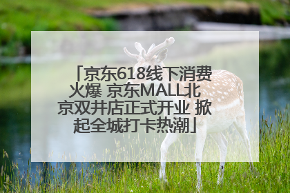 京东618线下消费火爆 京东MALL北京双井店正式开业 掀起全城打卡热潮