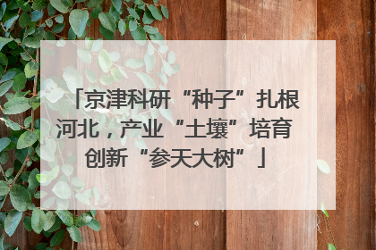 京津科研“种子”扎根河北，产业“土壤”培育创新“参天大树”