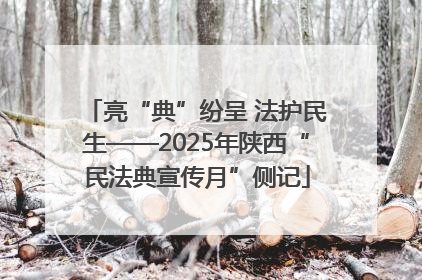 亮“典”纷呈 法护民生——2025年陕西“民法典宣传月”侧记