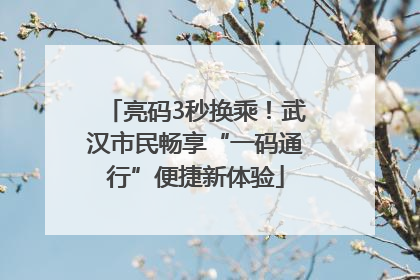 亮码3秒换乘！武汉市民畅享“一码通行”便捷新体验