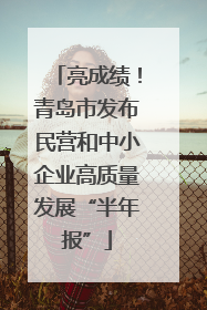 亮成绩！青岛市发布民营和中小企业高质量发展“半年报”