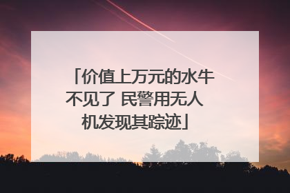 价值上万元的水牛不见了 民警用无人机发现其踪迹