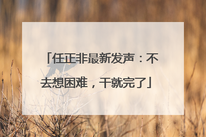任正非最新发声：不去想困难，干就完了