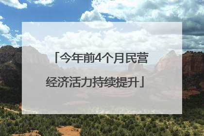 今年前4个月民营经济活力持续提升