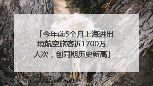 今年前5个月上海进出境航空旅客近1700万人次，创同期历史新高