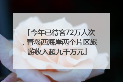 今年已待客72万人次，青岛西海岸两个片区旅游收入超九千万元