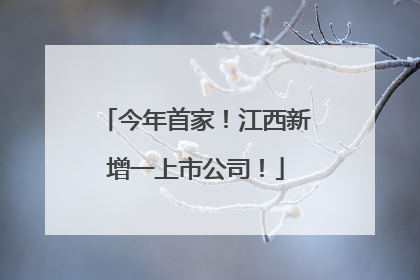 今年首家！江西新增一上市公司！