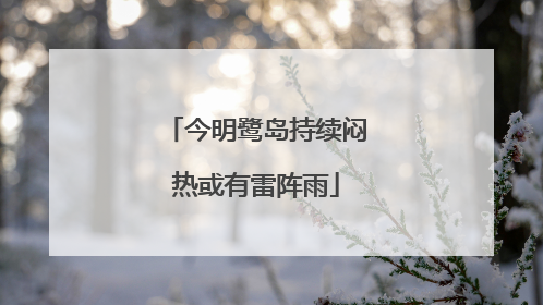 今明鹭岛持续闷热或有雷阵雨