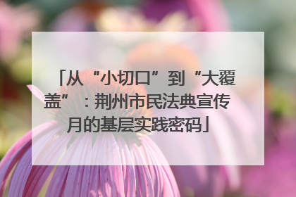 从“小切口”到“大覆盖”：荆州市民法典宣传月的基层实践密码