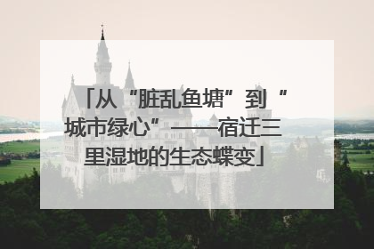 从“脏乱鱼塘”到“城市绿心”——宿迁三里湿地的生态蝶变
