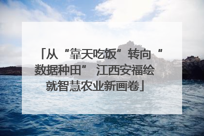 从“靠天吃饭”转向“数据种田” 江西安福绘就智慧农业新画卷