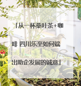 从一杯桑叶茶+咖啡 四川乐至如何端出助企发展的诚意