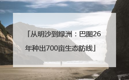 从明沙到绿洲：巴图26年种出700亩生态防线