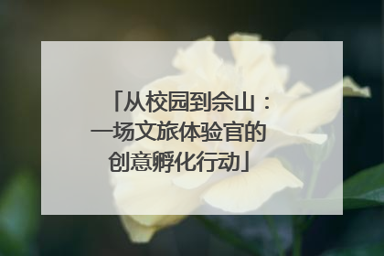 从校园到佘山：一场文旅体验官的创意孵化行动