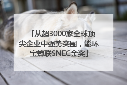 从超3000家全球顶尖企业中强势突围，能环宝蝉联SNEC金奖