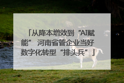 从降本增效到“AI赋能” 河南省管企业当好数字化转型“排头兵”