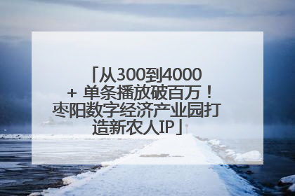 从300到4000+ 单条播放破百万！枣阳数字经济产业园打造新农人IP