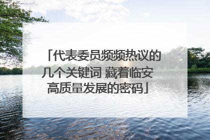 代表委员频频热议的几个关键词 藏着临安高质量发展的密码