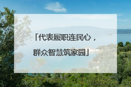 代表履职连民心，群众智慧筑家园