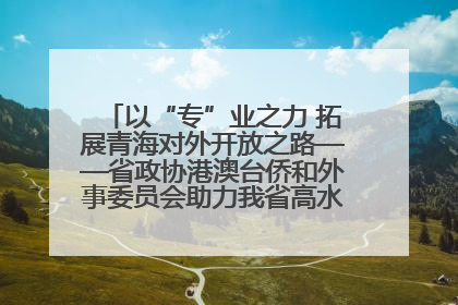 以“专”业之力 拓展青海对外开放之路——省政协港澳台侨和外事委员会助力我省高水平开放和高质量发展