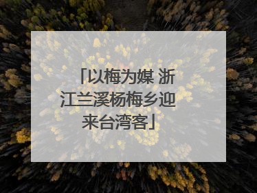 以梅为媒 浙江兰溪杨梅乡迎来台湾客