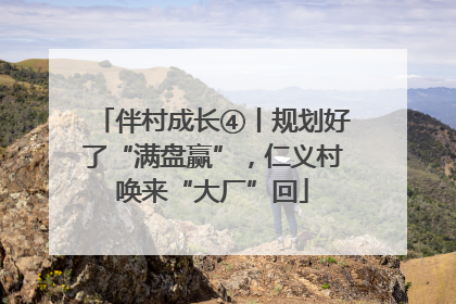 伴村成长④丨规划好了“满盘赢”，仁义村唤来“大厂”回