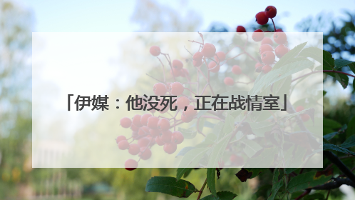 伊媒：他没死，正在战情室