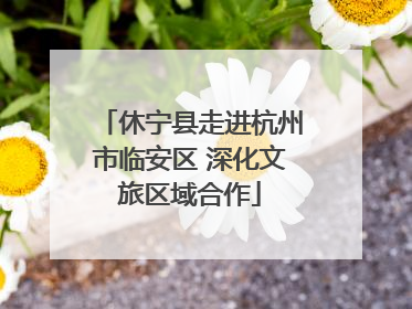 休宁县走进杭州市临安区 深化文旅区域合作