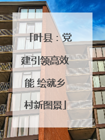 叶县：党建引领高效能 绘就乡村新图景