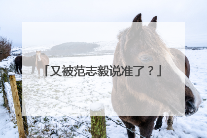又被范志毅说准了？