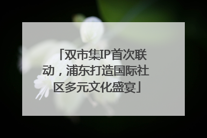 双市集IP首次联动，浦东打造国际社区多元文化盛宴