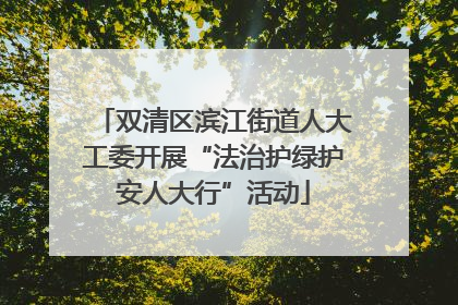 双清区滨江街道人大工委开展“法治护绿护安人大行”活动